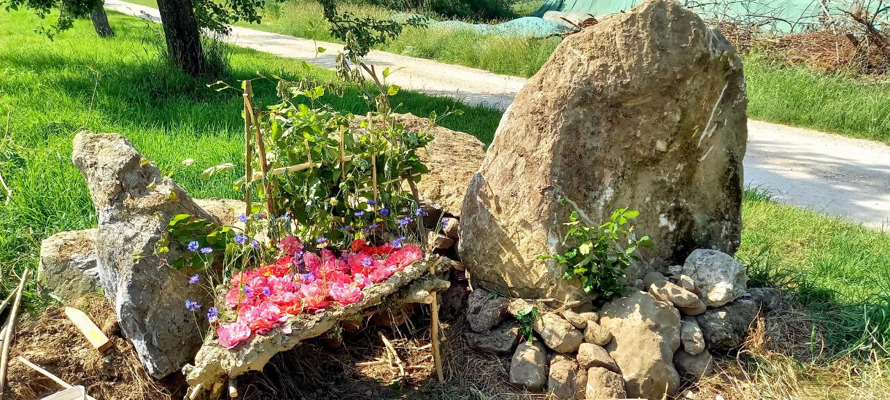 Solawi Ackergemeinschaft Linzgau 2022