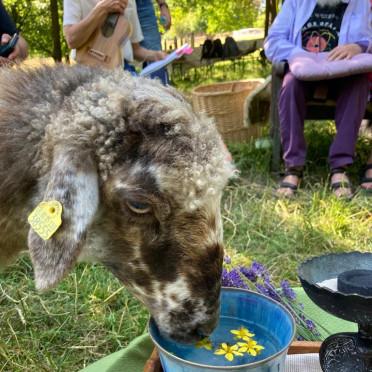 Begegnungshof Herzberg 2023_3