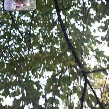 Katharina Frass 2023_3